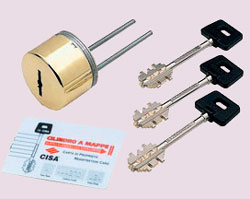 Перекодировочная накладка Cisa