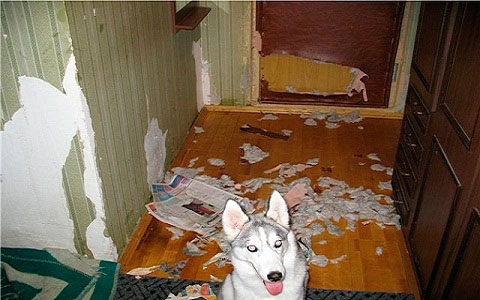 Обивка дверей в Мытищах